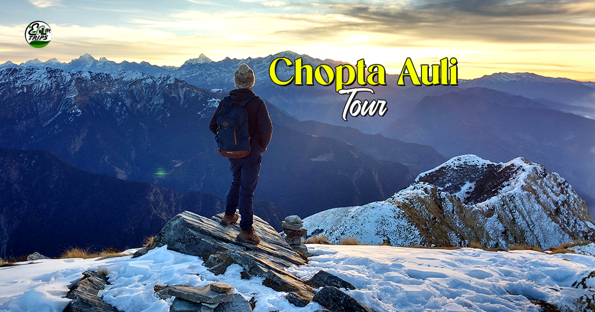 Chopta Auli Trip Package